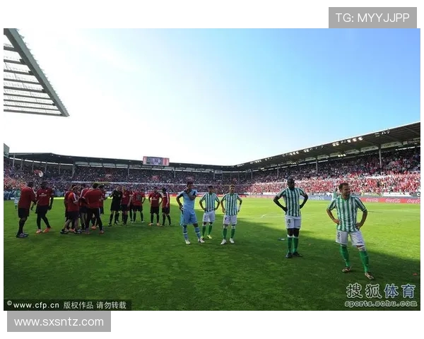 南京排球队状态分析：聚焦球队表现与未来发展方向