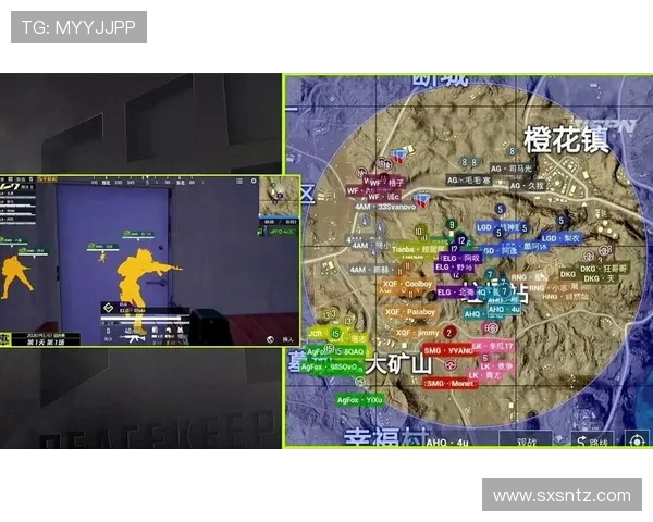 和平精英最新配合排行榜揭晓RNG战队荣登第三名引发热议